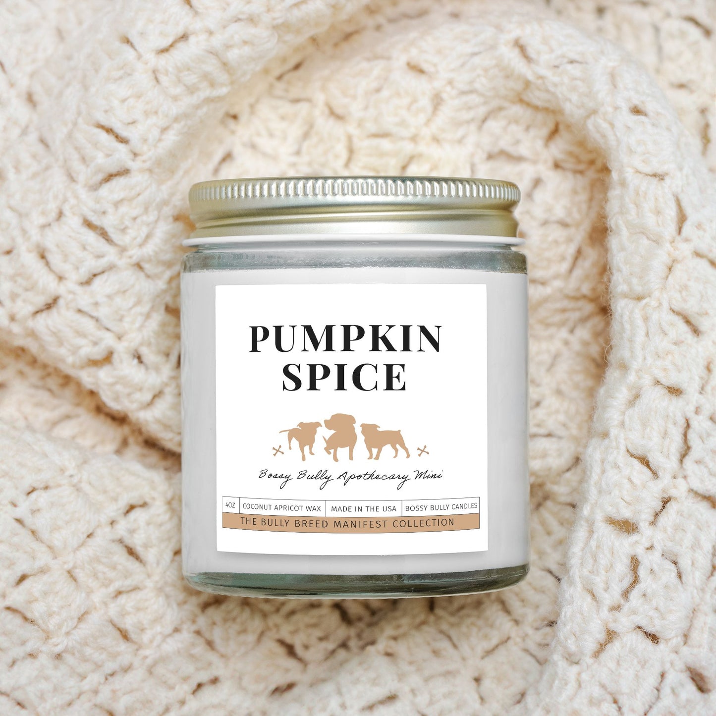 Pumpkin Spice Candle | Fall/Winter Limited Edition | Apothecary Mini | 4oz