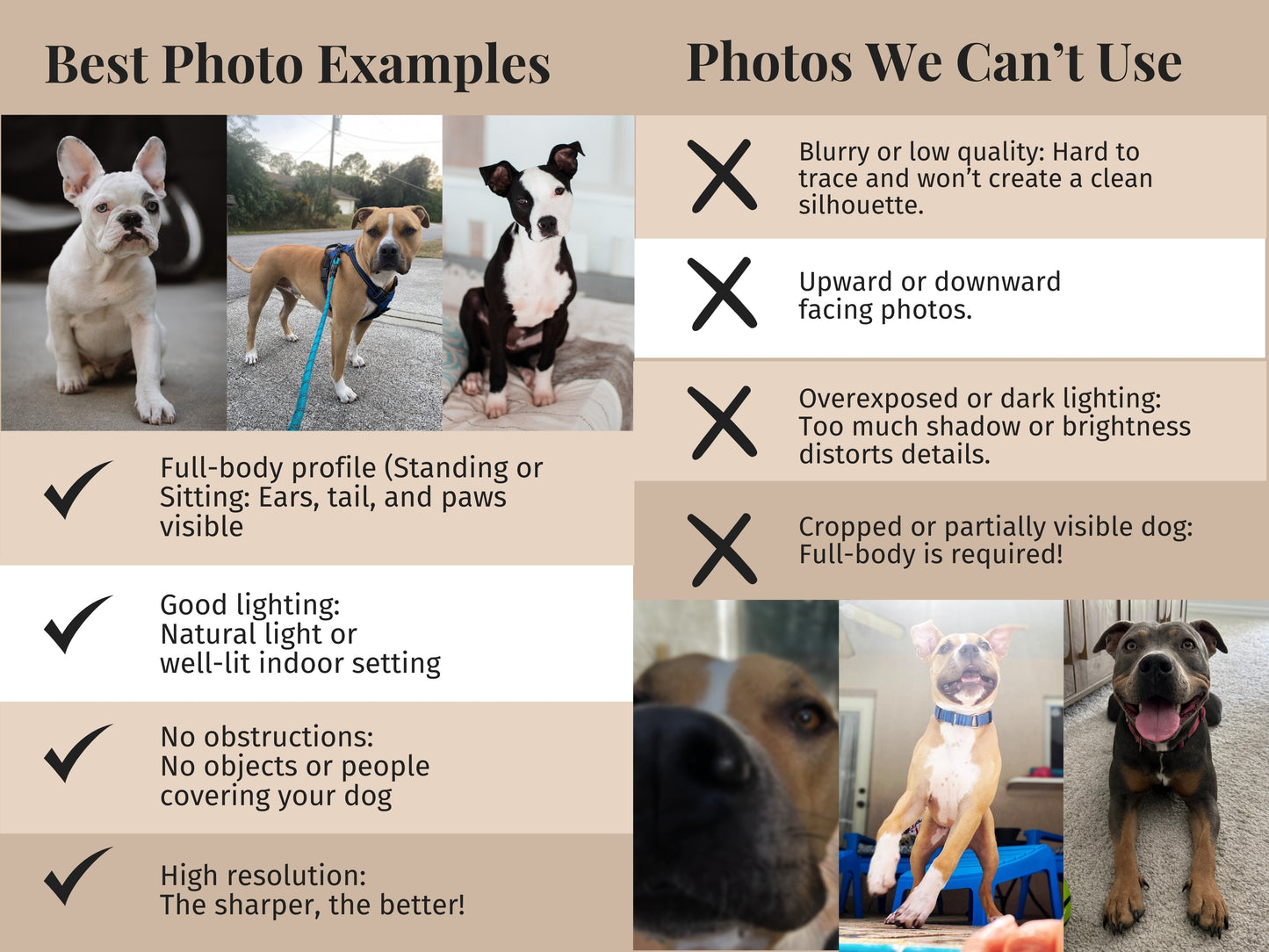 Pitbull Custom Crest Hoodie