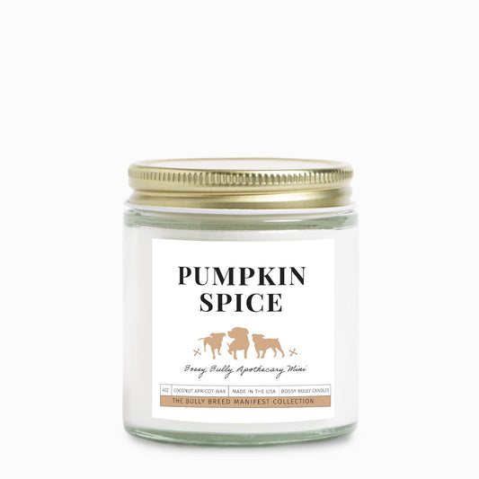 Pumpkin Spice Candle | Fall/Winter Limited Edition | Apothecary Mini | 4oz