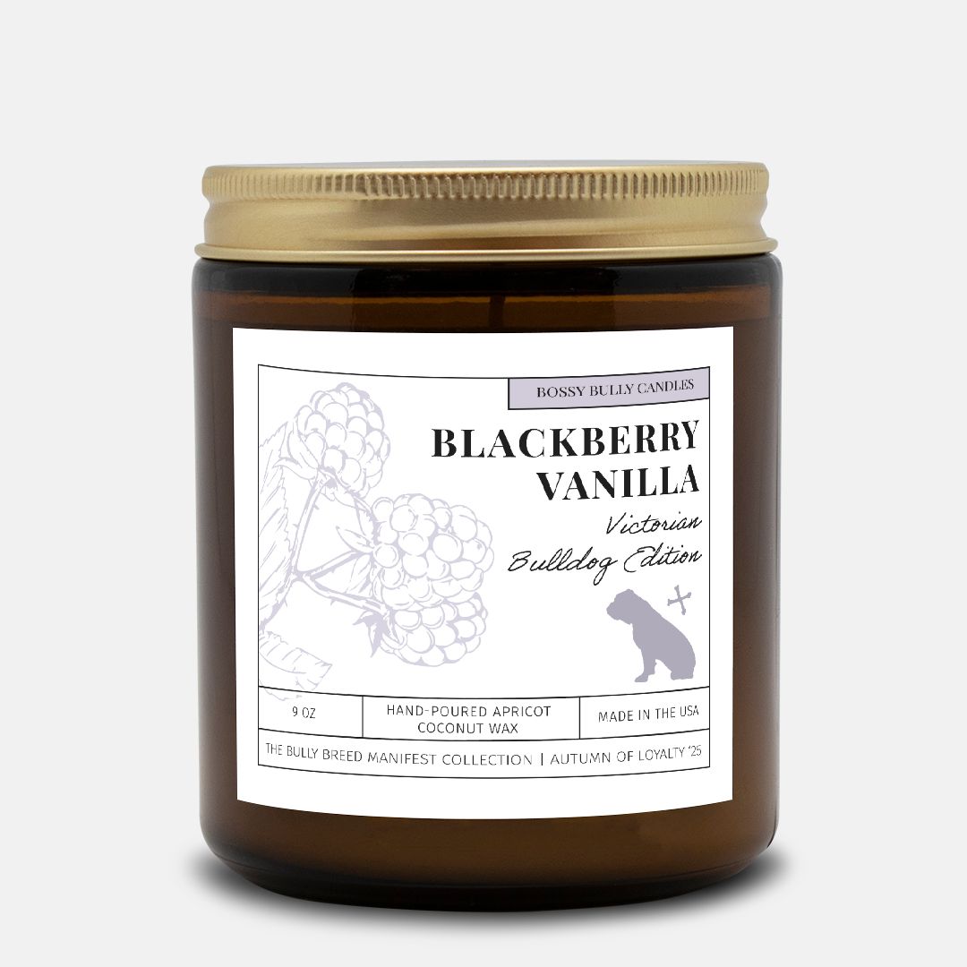 Blackberry Vanilla Candle | Victorian Bulldog Edition | Amber Jar 9oz