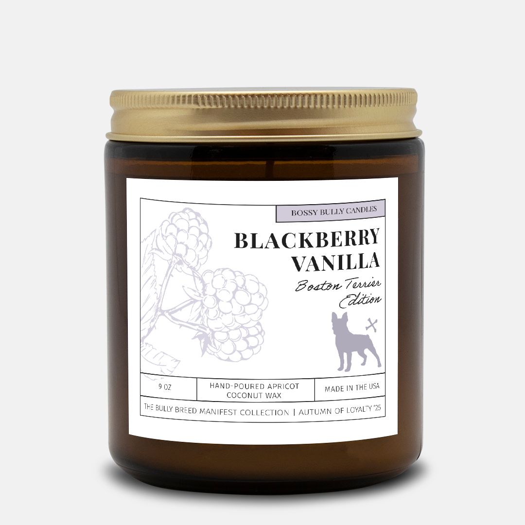 Blackberry Vanilla Candle | Boston Terrier Edition | Amber Jar 9oz