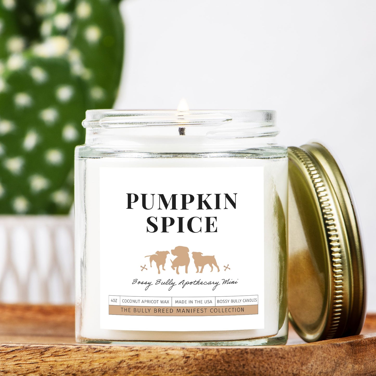 Pumpkin Spice Candle | Fall/Winter Limited Edition | Apothecary Mini | 4oz