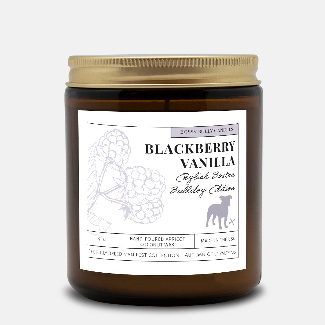 Blackberry Vanilla Candle | English Boston-Bulldog Edition | Amber Jar 9oz