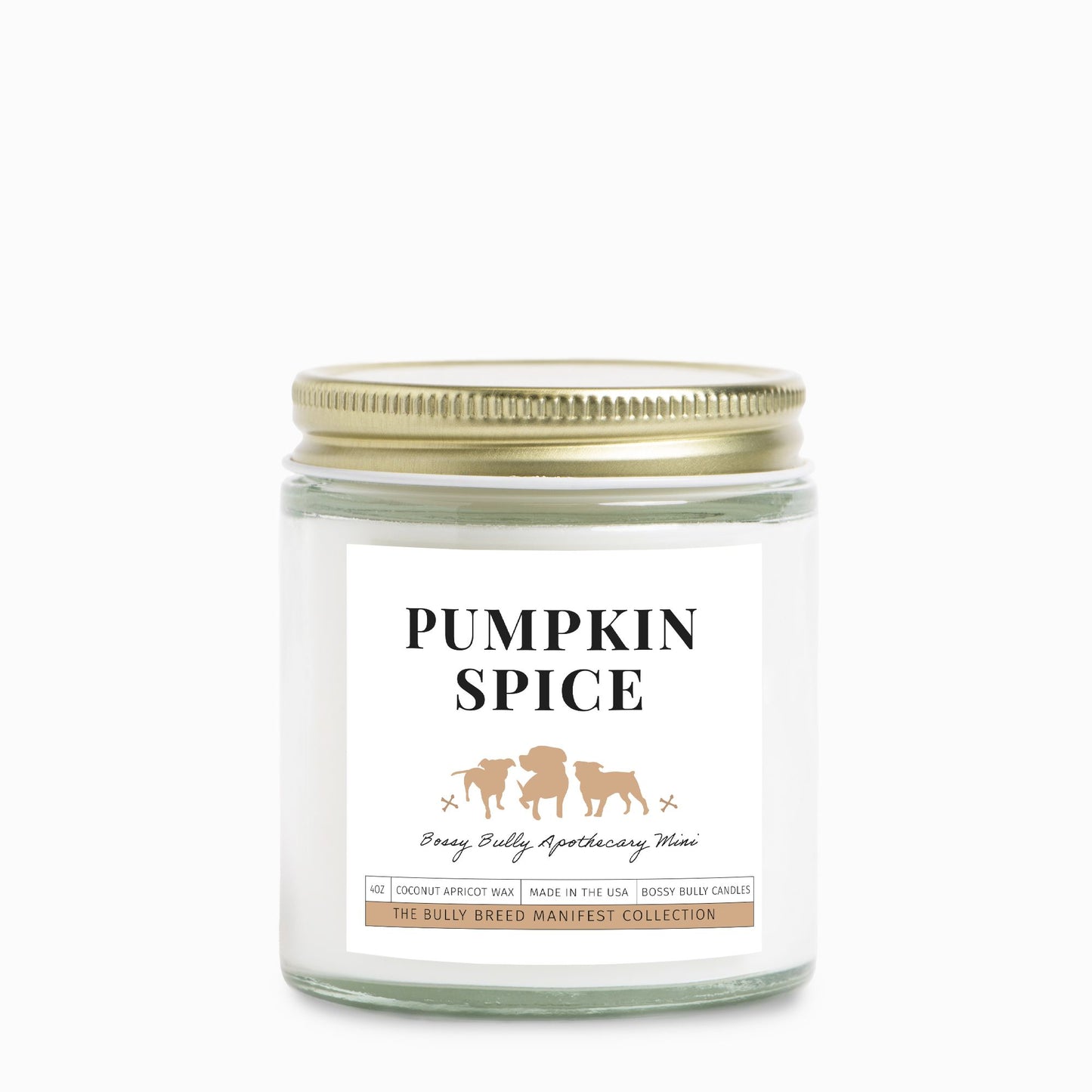 Pumpkin Spice Candle | Fall/Winter Limited Edition | Apothecary Mini | 4oz