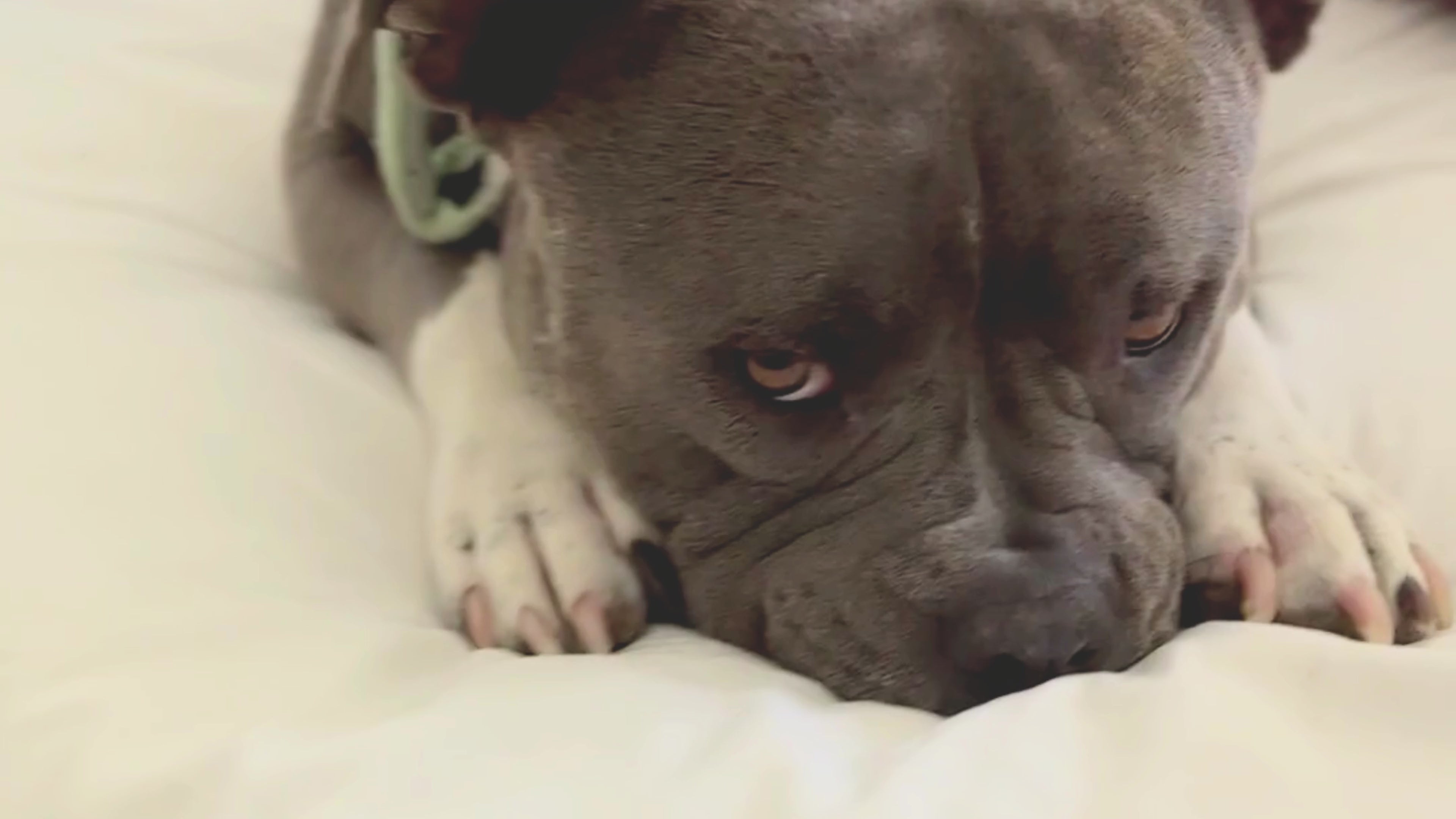 Load video: 